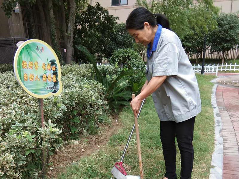 淮安物業(yè)公司對小區(qū)綠化的管理標準